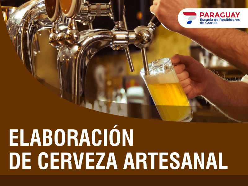 Elaboración de Cerveza Artesanal