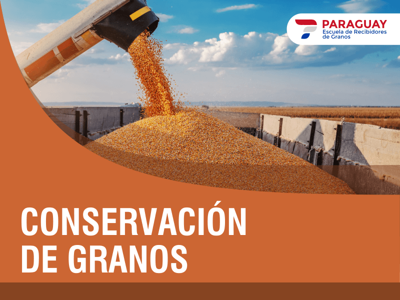 conservación de granos