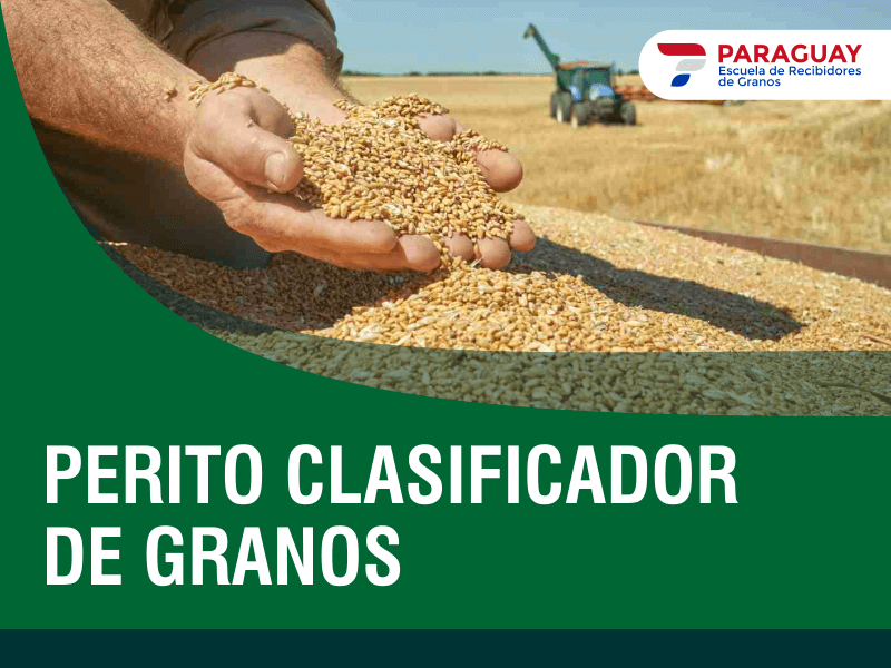 Perito clasificador de granos