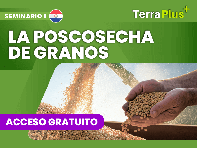 poscosecha de granos