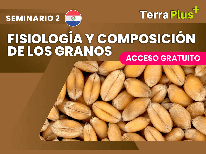 composición de los granos