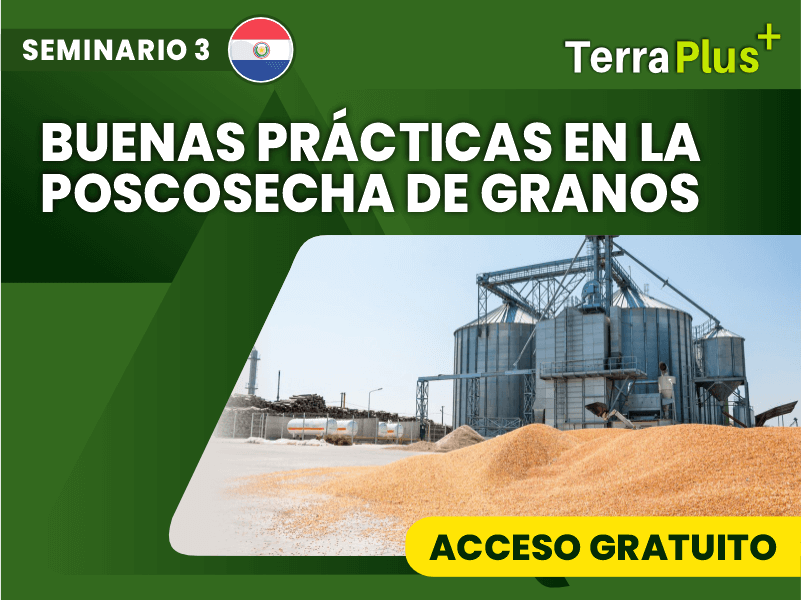 practicas
