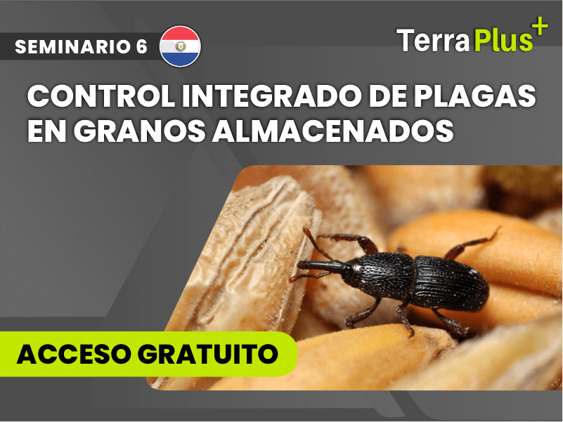Control Integrado de Plagas en Granos Almacenados