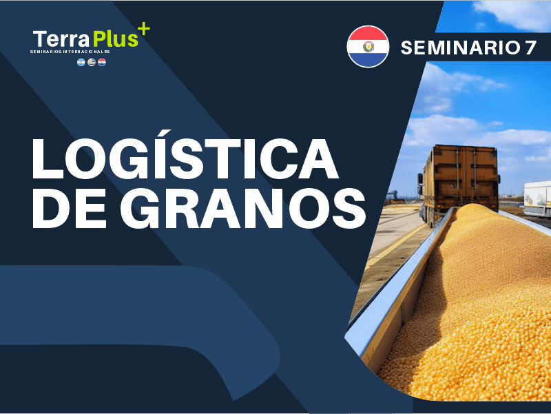 Logistica de granos