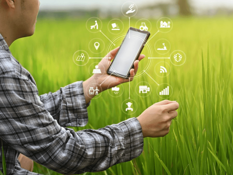 4 de noviembre día internacional del marketing