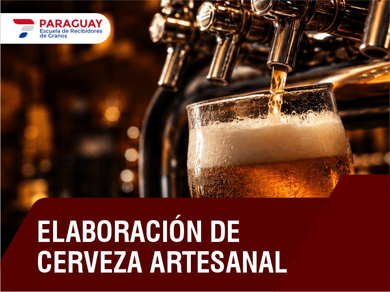 Elaboración de Cerveza Artesanal 2026