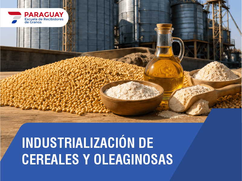 Industrialización de cereales y Oleaginosas 2026