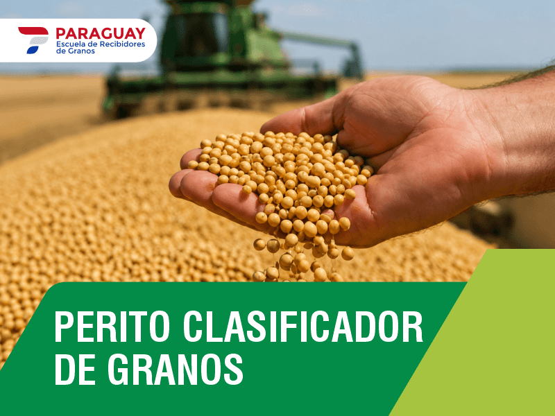 Perito Clasificador de granos 2026