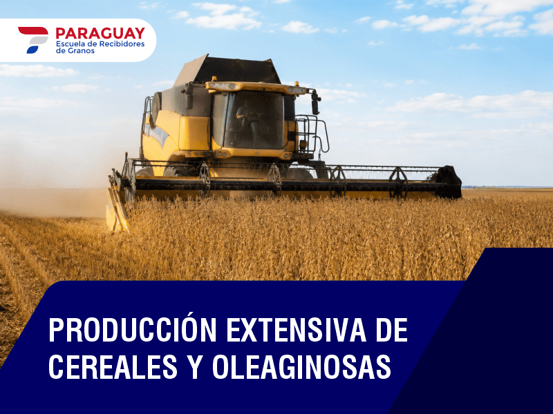 Producción Extensiva de cereales y Oleaginosas